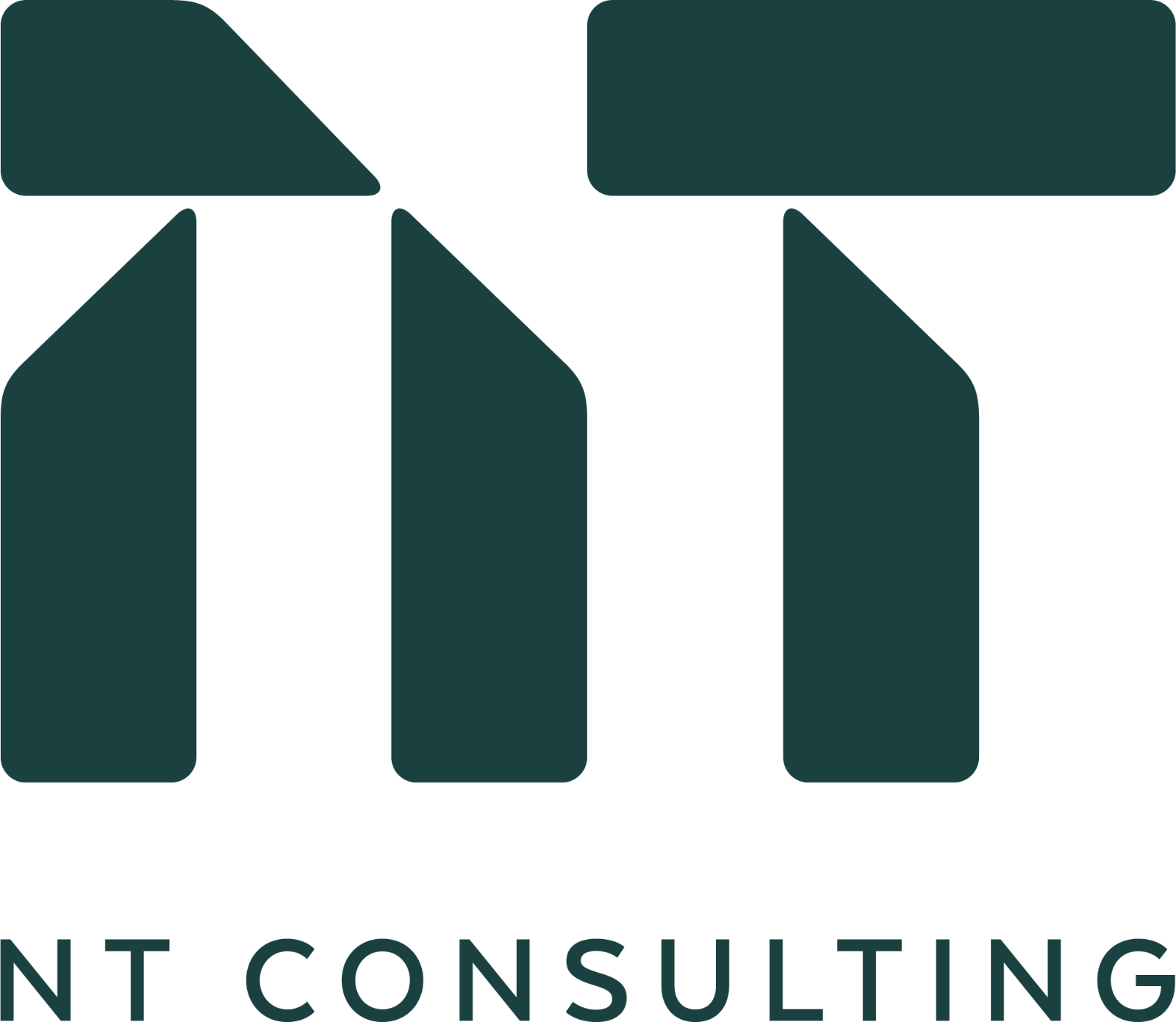 NT Consulting
